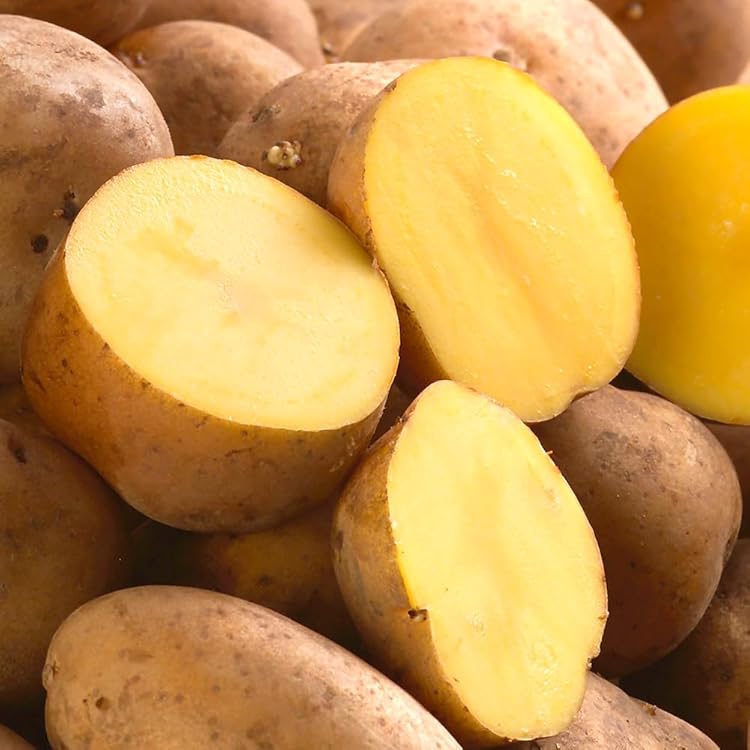 北海道　熟成じゃがいも　インカのめざめS20kg ジャガイモ　濃厚 Amazon.co.jp: 北海道産 新じゃが じゃがいも インカのめざめ 3kg (共